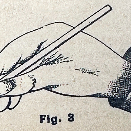 Vintage French illustration showing the correct way to hold a calligraphy pen, from an early 20th-century penmanship manual.