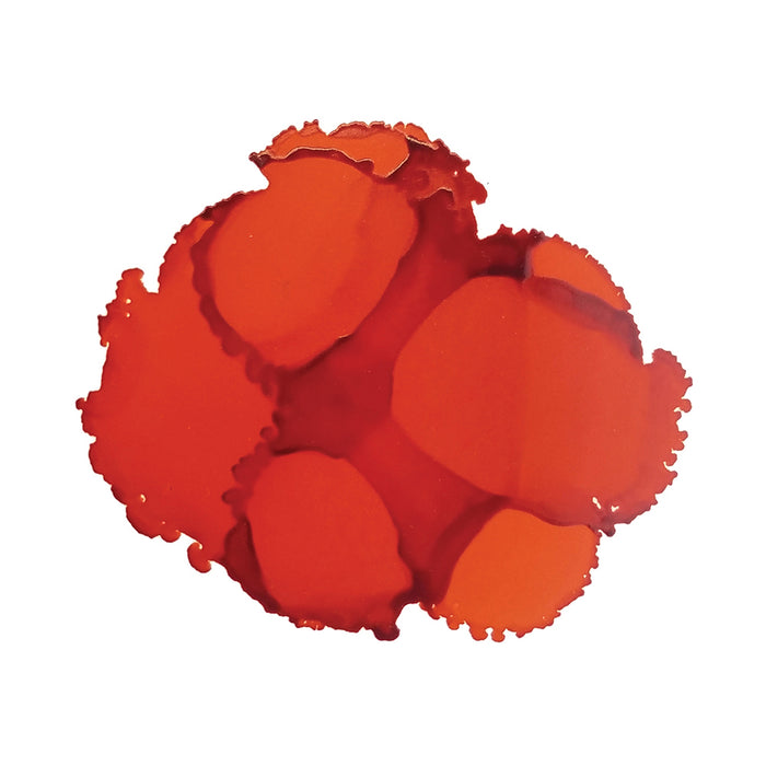 Splat of Calabaza Orange (005) Pinata Ink